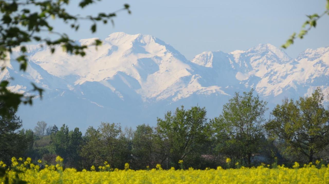 Gite La Tourasse Les Tournesols Lamasquere Exterior foto